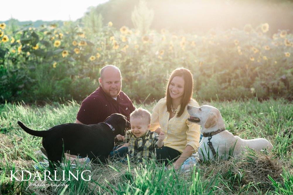 family of 3 with 2 dogs and sunflowers