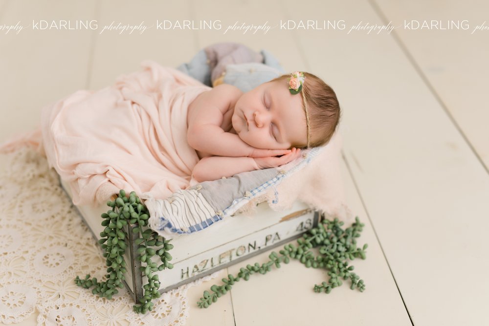Newborn-Photography-Champaign-County-IL-Girl-pink-white-darling_1938.jpg