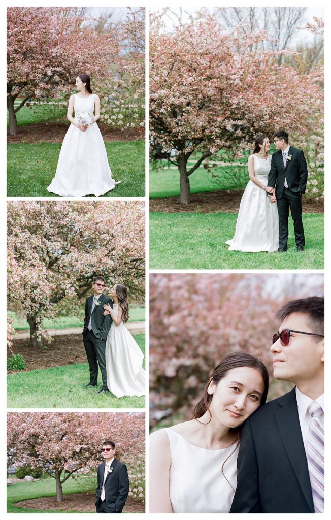 Spring wedding pictures at Japan House Arboretum Urbana University of IL flowering trees