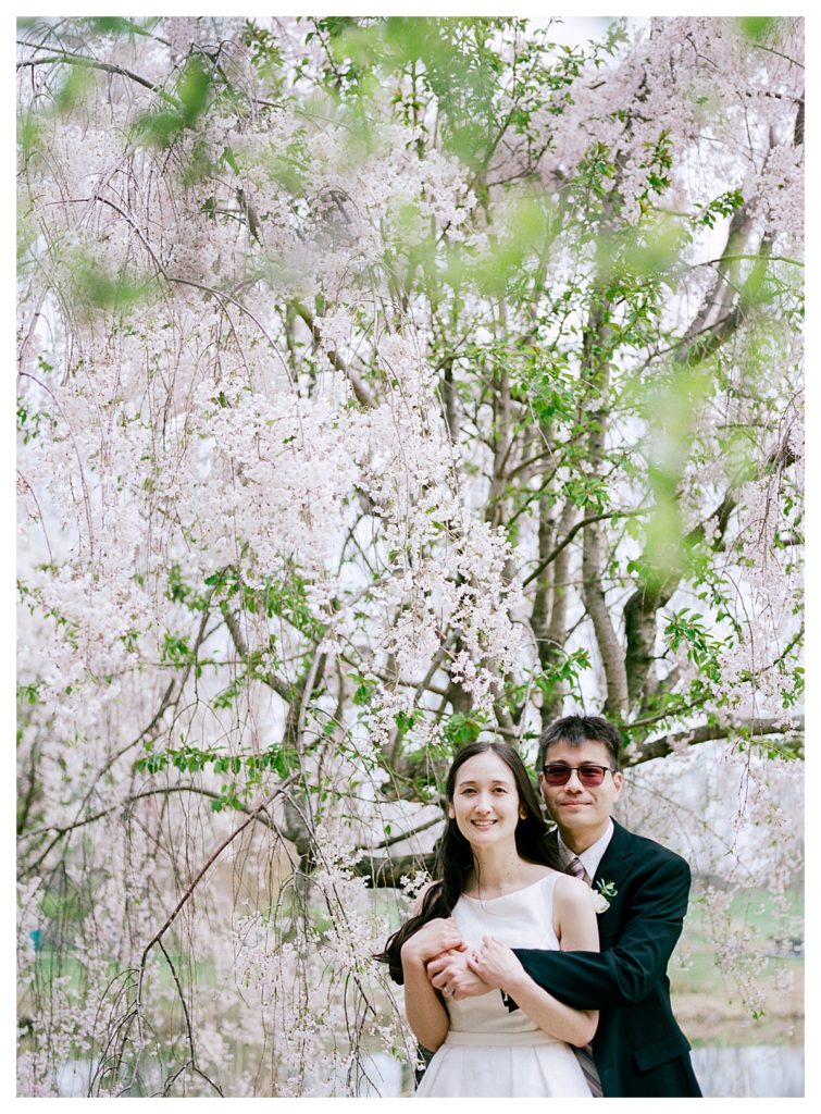 Spring wedding pictures at Japan House Arboretum Urbana University of IL flowering trees
